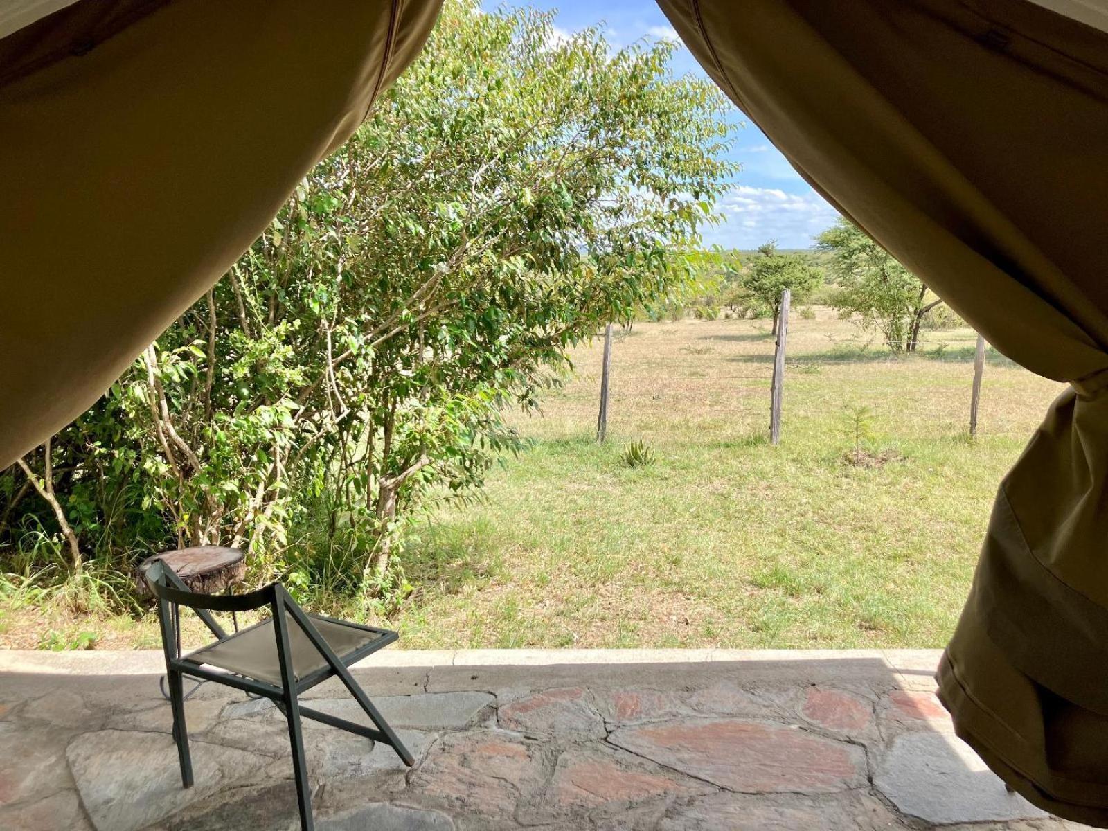 Kambu Mara Camp Hotel Sekenani ภายนอก รูปภาพ