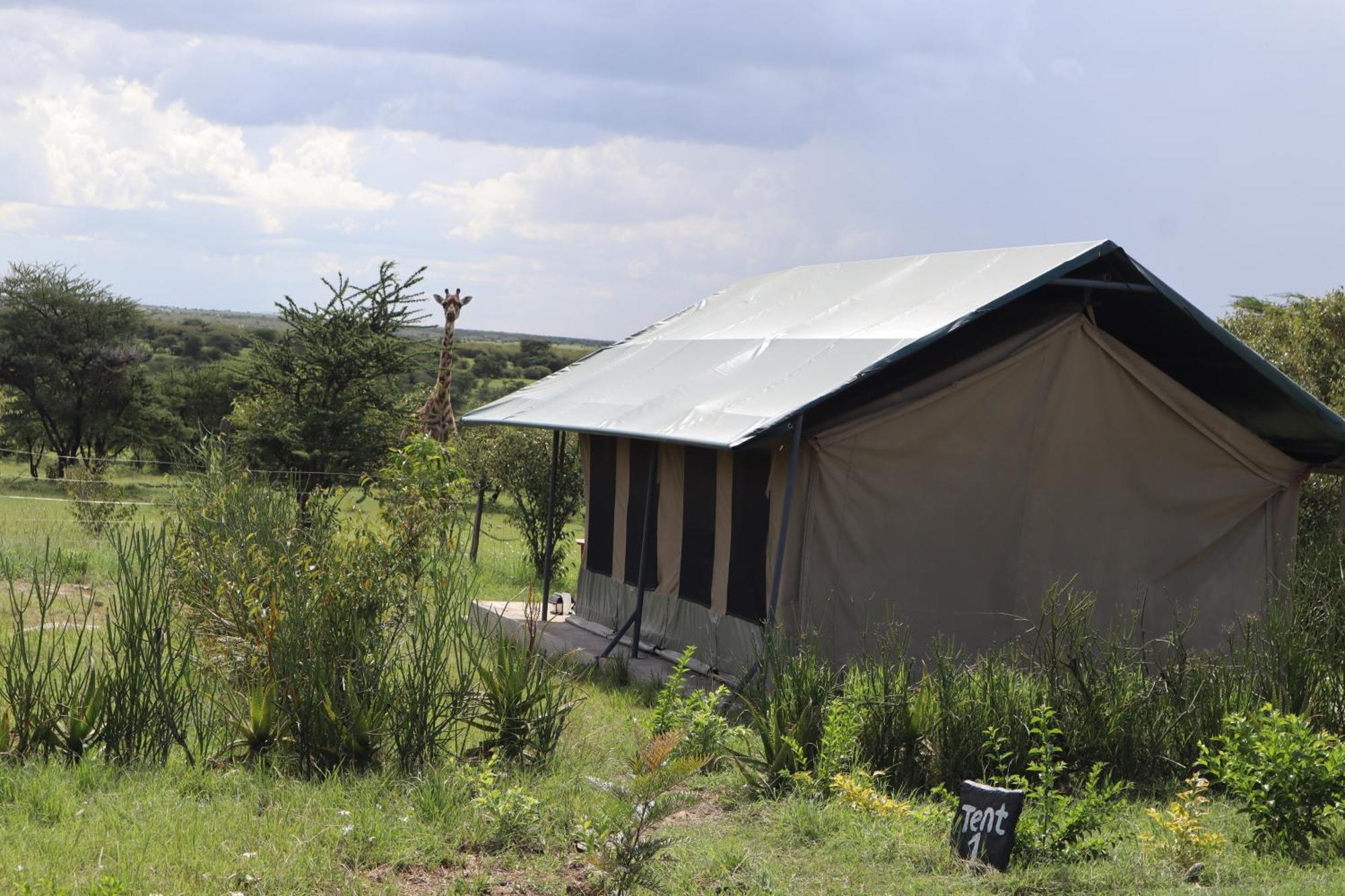 Kambu Mara Camp Hotel Sekenani ภายนอก รูปภาพ